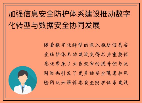 加强信息安全防护体系建设推动数字化转型与数据安全协同发展